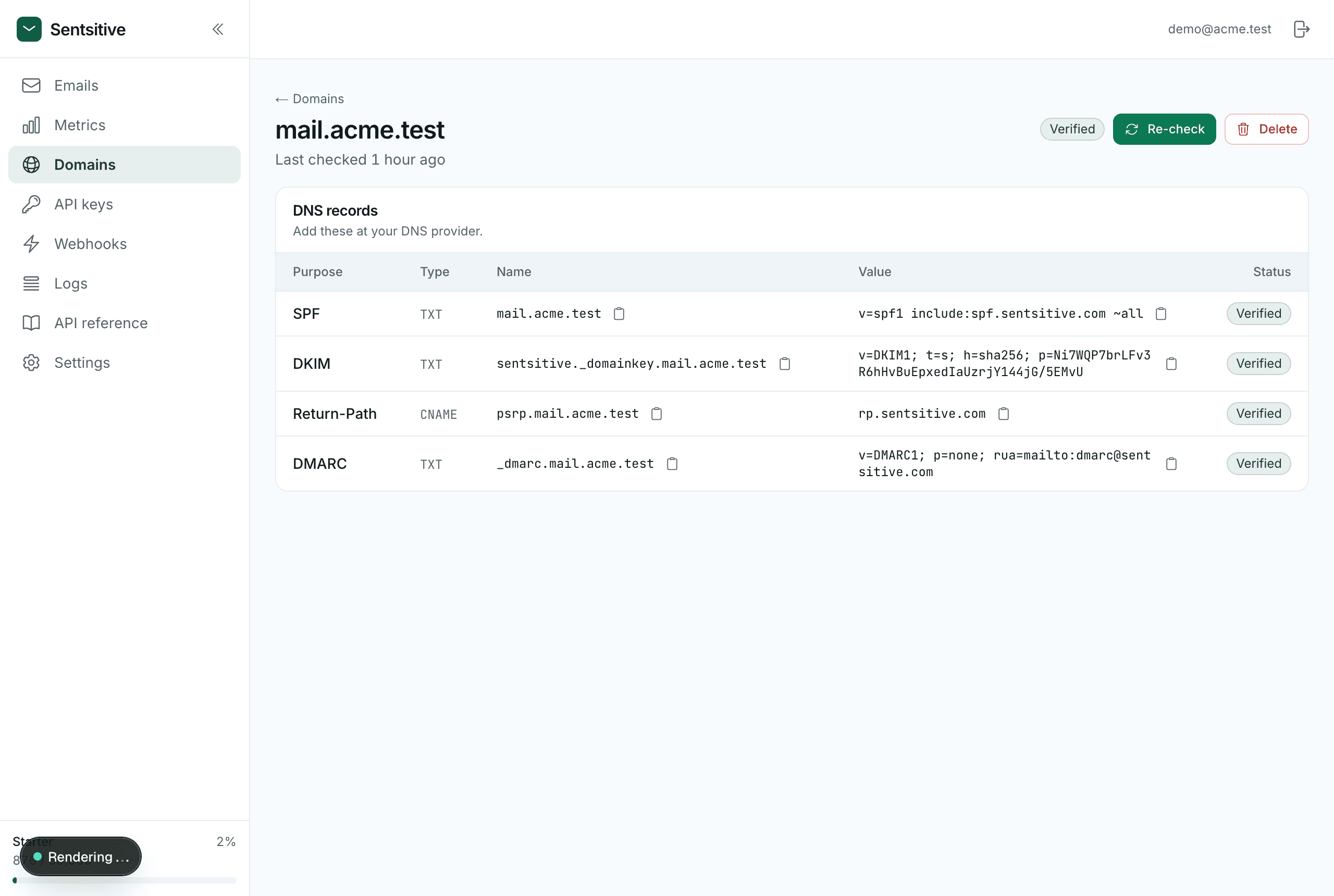 The DNS records shown after adding a domain